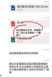 娱乐圈吃瓜pdf文件,PDF文件深度解析